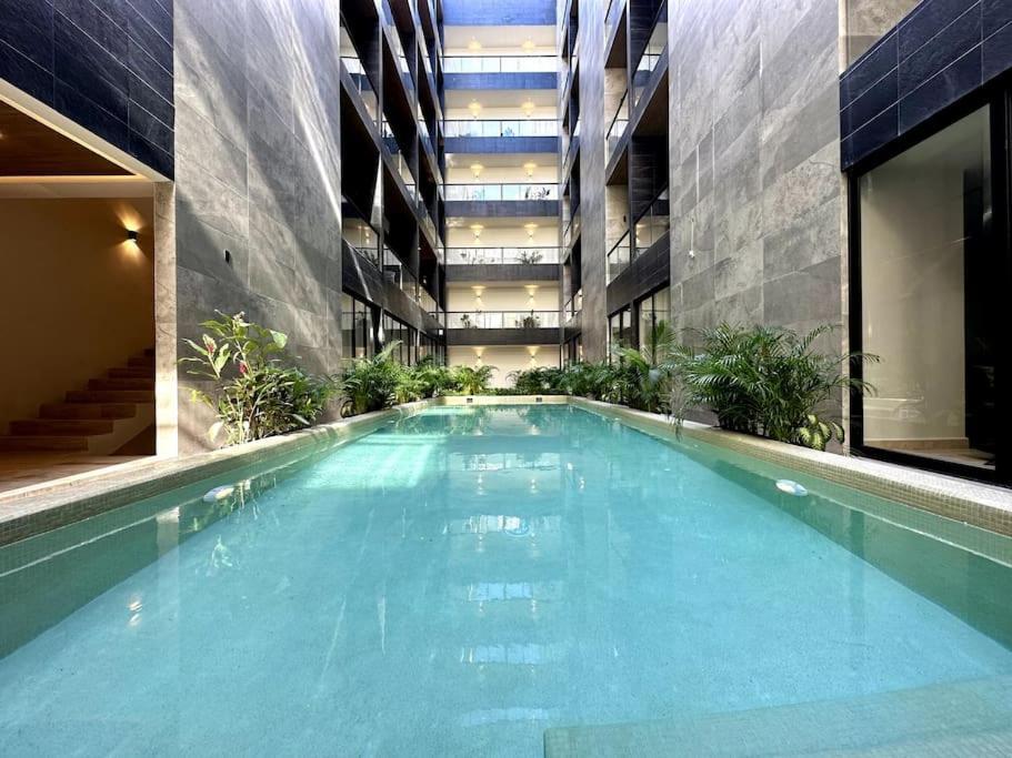 Musa Del Carmen By Solmar - Rooftop Pool & Bar By Solmar *